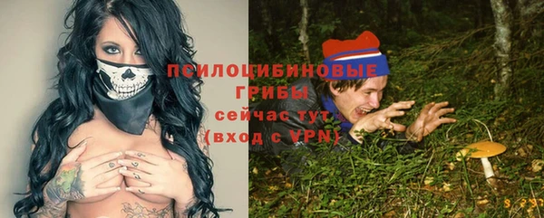 индика Абдулино