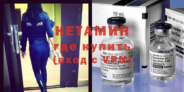 индика Дмитриев