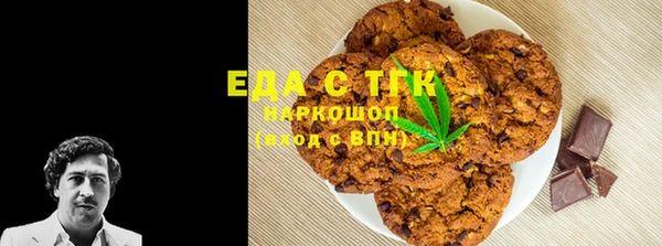 СК Алексин